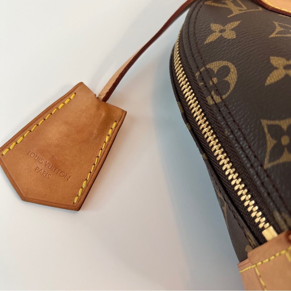 Louis Vuitton Alma BB - Picture 14 of 16